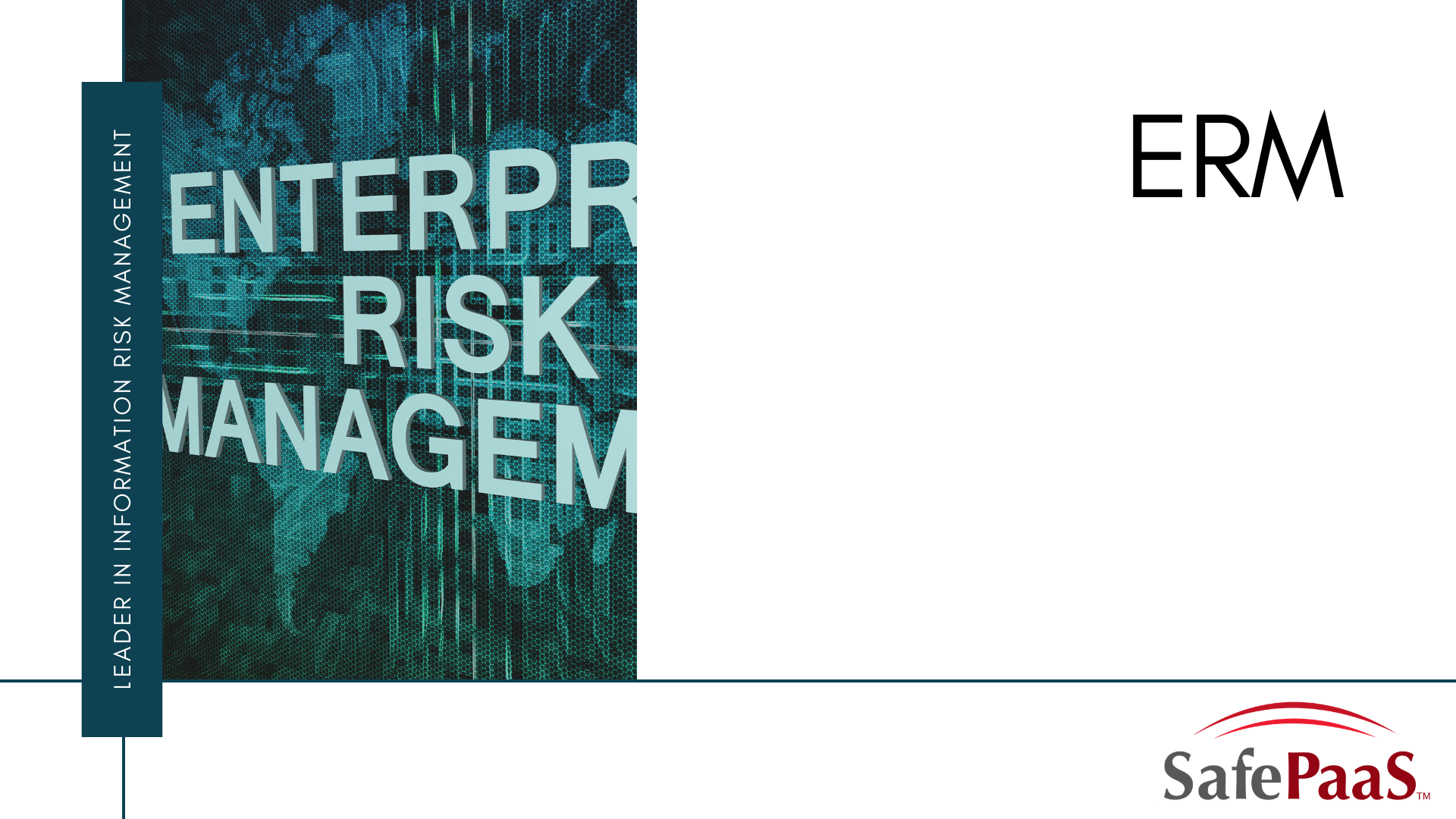 Enterprise Risk Management Infographic