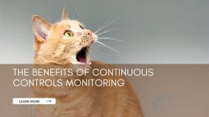 The benefits of Continuous Controls Monitoring