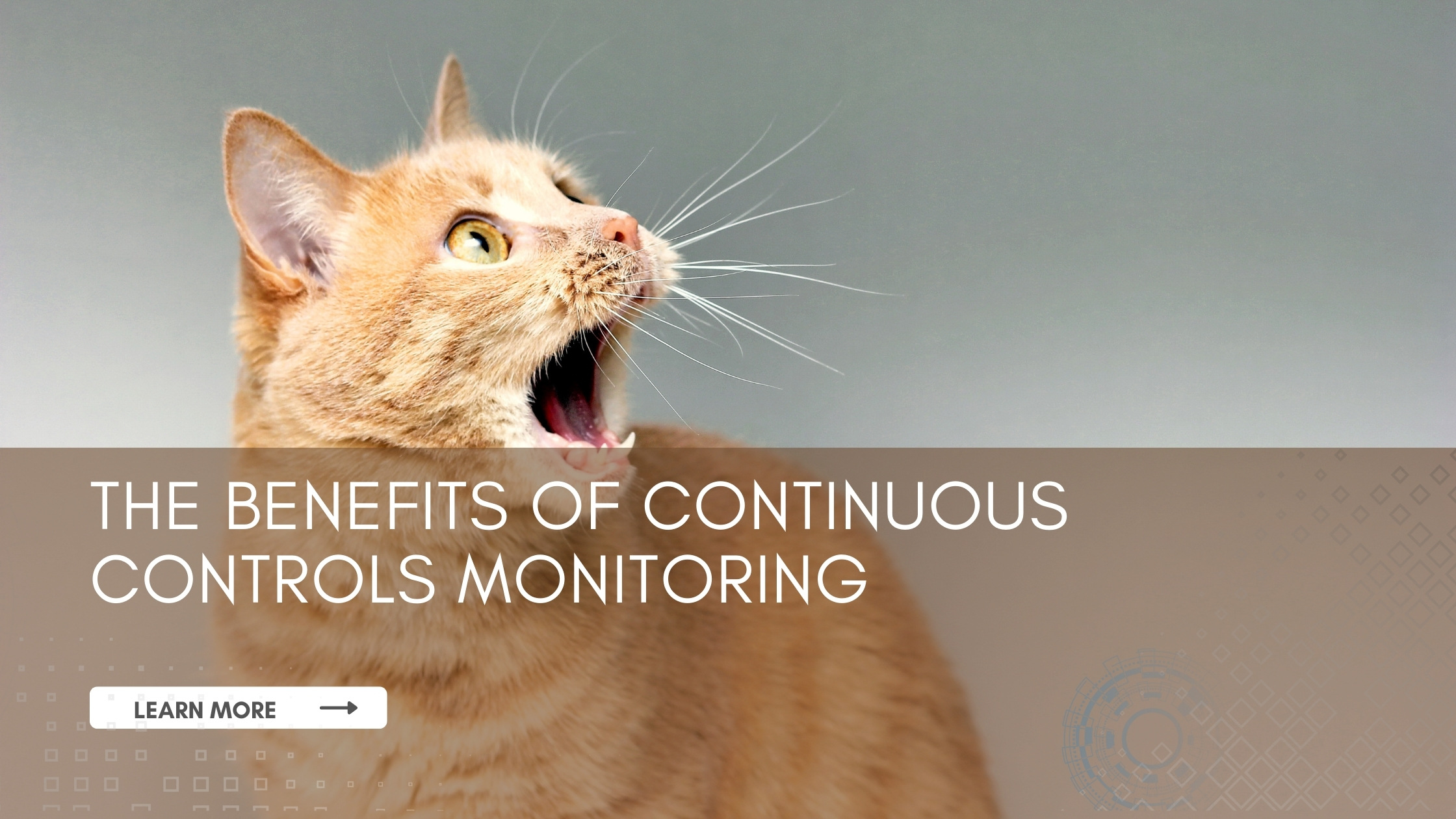Continuous Controls Monitoring