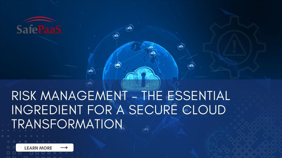 Information Risk Management Industry Insight - SafePaaS