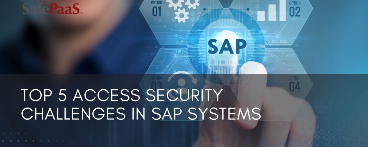 SAP Access Security
