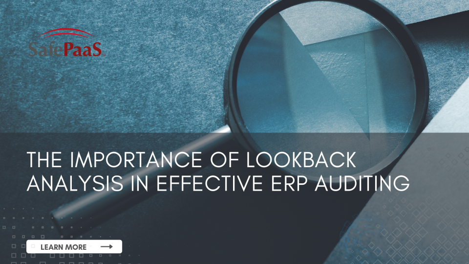 Lookback Analysis in ERP Audit
