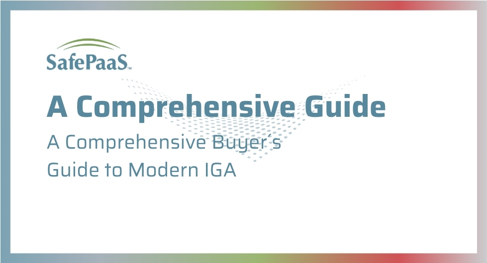 A Buyer´s Guide to Modern IGA