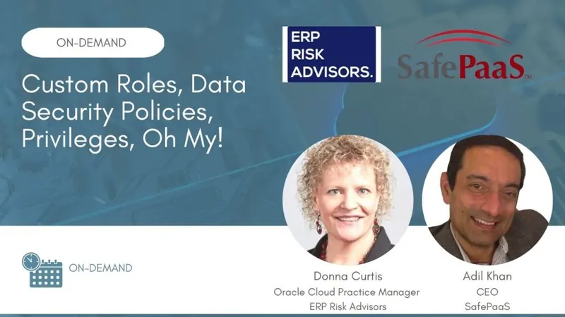 Custom Roles, Data Security Policies and Privileges